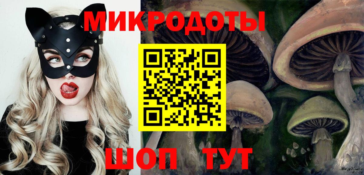 Галлюциногенные грибы Psilocybine cubensis Кашира