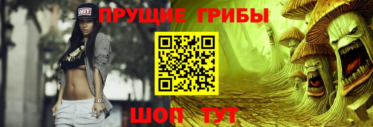 Псилоцибиновые грибы Psilocybe  купить  сайты  Кашира  Вход с VPN  Галлюциногенные грибы Psilocybe 